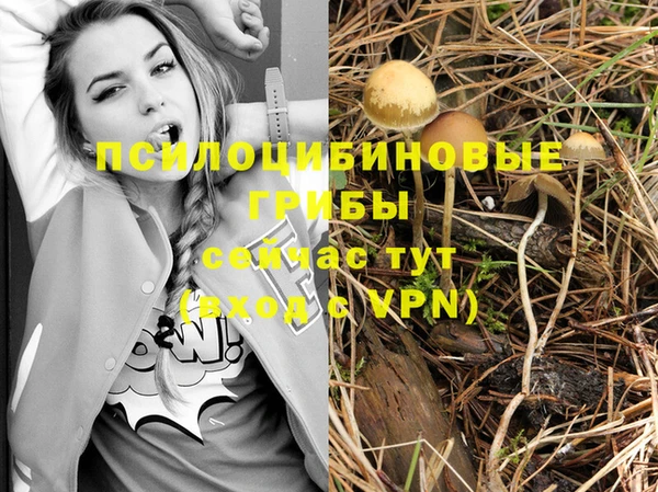 прущий лед Кущёвская